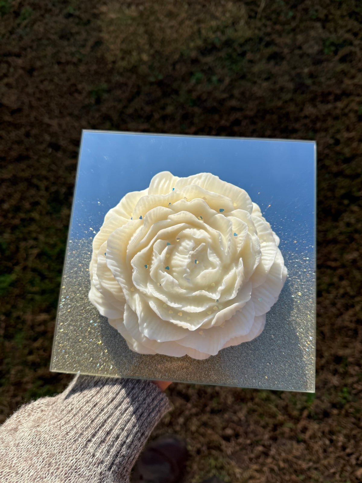 Rosa diamante gigante